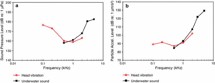 figure 28