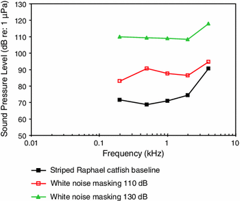 figure 55