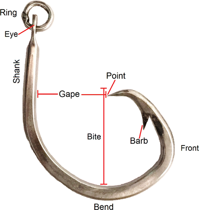 Investigating weighted fishing hooks for seabird bycatch mitigation