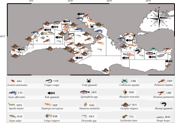 Pots as alternative and sustainable fishing gears in the Mediterranean Sea:  an overview | Reviews in Fish Biology and Fisheries