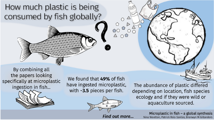 Microplastic in fish – A global synthesis