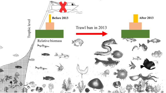 Initial recovery of demersal fish communities in coastal waters of