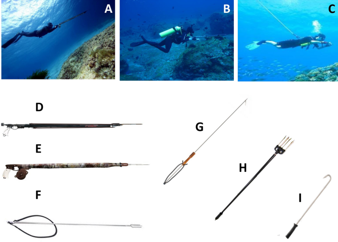 Seac Asso C/R - Pneumatic Spearguns - Spearfishing - Freediving