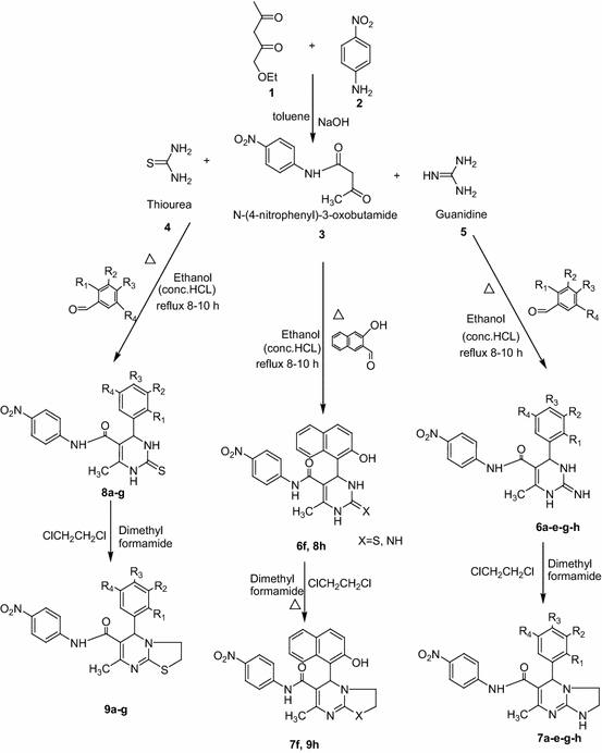 scheme 1