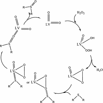 scheme 5