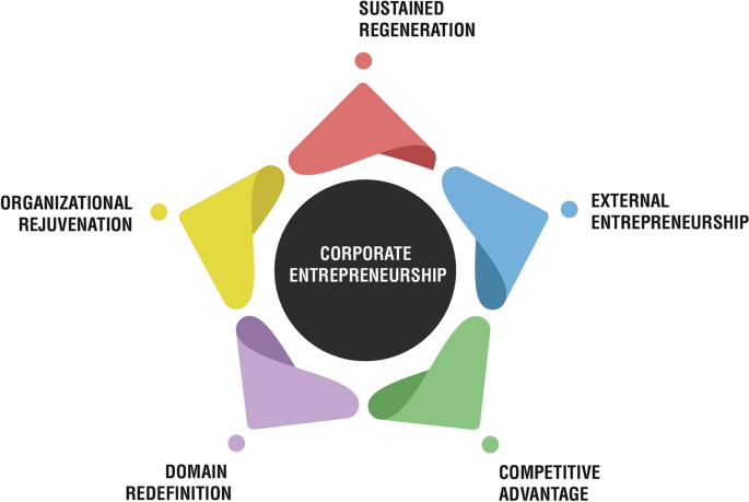 Disentangling The Corporate Entrepreneurship Construct Conceptualizing Through Co Words Springerlink