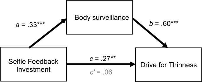 Body Surveillance On Instagram Examining The Role Of Selfie Feedback Investment In Young Adult Women S Body Image Concerns Springerlink