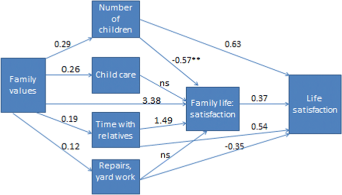 One Size Does Not Fit All Alternative Values Based Recipes For Life Satisfaction Springerlink