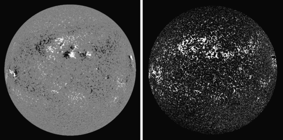 Angular Dependence of the Facular–Sunspot Coverage Relation as