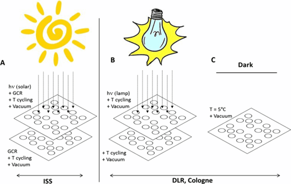 figure 28