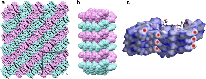 figure 18