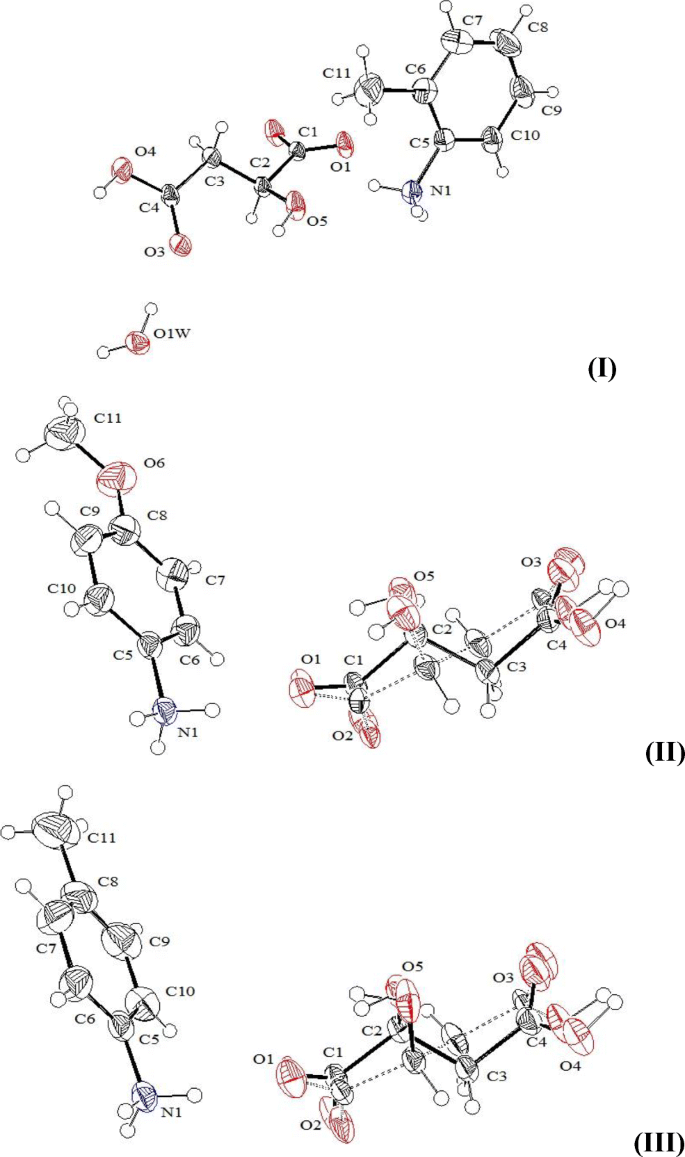 Structural Features And N H O And O H O Hydrogen Bonded Supramolecular Frameworks In 2 Methylanilinium Hydrogen Dl Malate Hydrate 4 Methoxyanilinium And 4 Methylanilinium Hydrogen Dl Malate Salts Springerlink