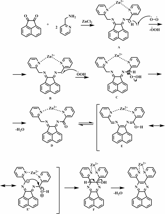 New acenaphthene-based heterocycles: synthesis, crystal structure, and ...