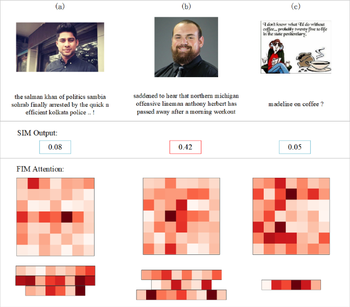 An incongruity-aware hybrid quantum neural network for multimodal ...