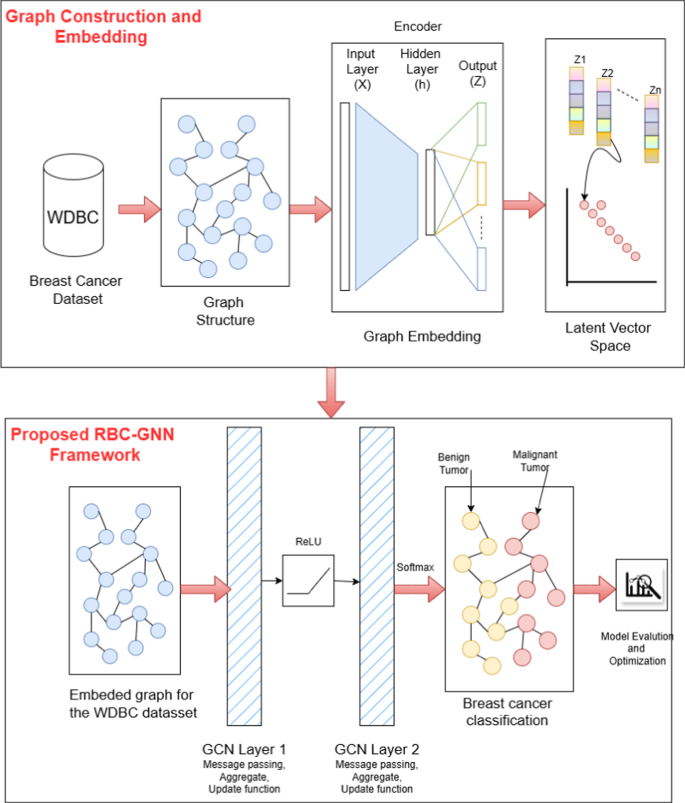 RBC-GNN: a novel relation-aware graph-based learning framework for ...