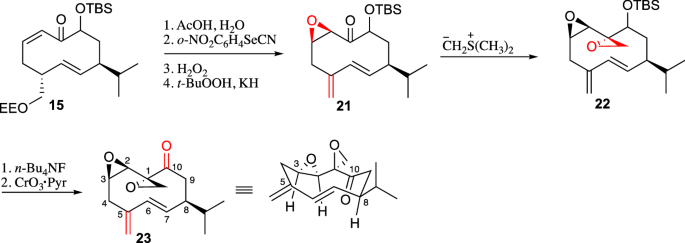 figure 17