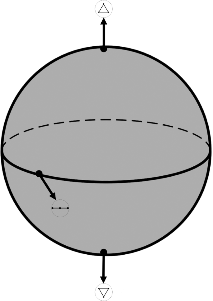 Shape space as a conceptual space | Synthese