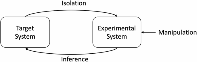 Re-construction or re-invention? Experimental strategies in the ...