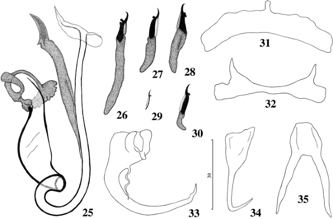 figure 25-35