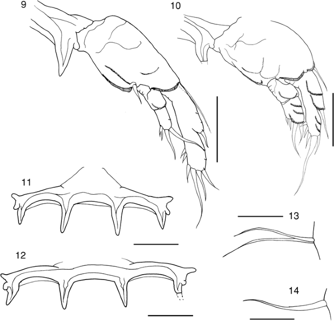 figure 9-14