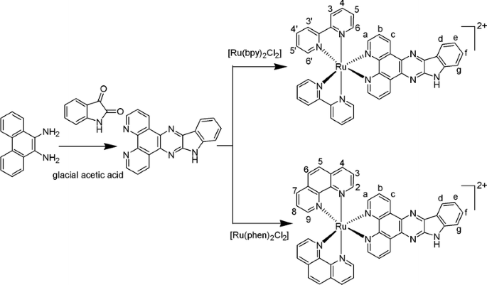 Synthesis And Dna Interaction Studies Of Ruthenium Ii Complexes With Isatino 1 2 B 1 4 8 9 Tetraazatriphenylene As An Intercalative Ligand Springerlink