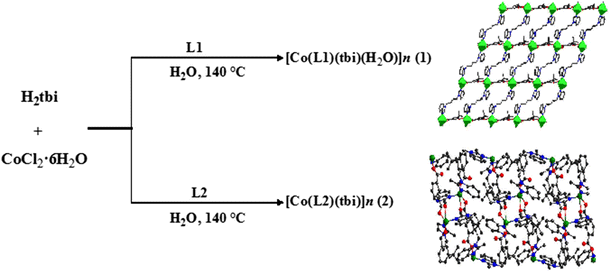 scheme 1