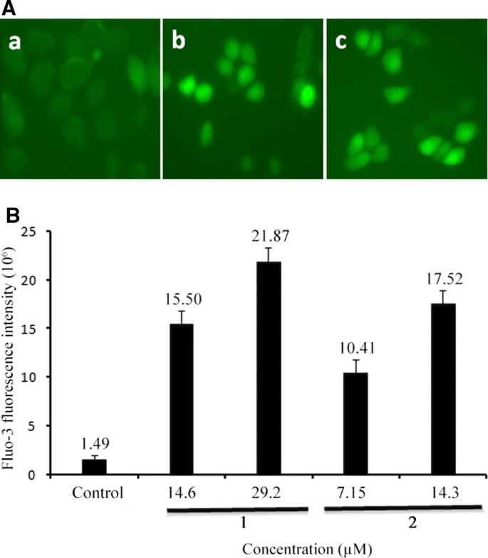 Studies of the anticancer activities of ruthenium(II) polypyridyl complexes toward human hepatocellular carcinoma BEL-7402 cells | Transition Metal Chemistry studies-of-the-anticancer-activities-of-ruthenium-ii-polypyridyl-complexes-toward-human-hepatocellular-carcinoma-bel-7402-cells-transition-metal-chemistry