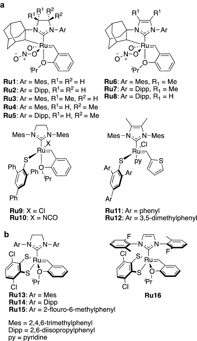 Inhibition of the Decomposition Pathways of Ruthenium Olefin Metathesis  Catalysts: Development of Highly Efficient Catalysts for Ethenolysis