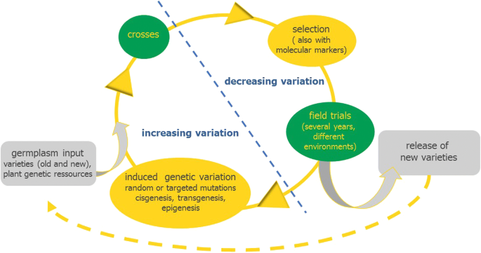 The Global Need For Plant Breeding Innovation Springerlink