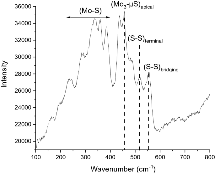 figure 21