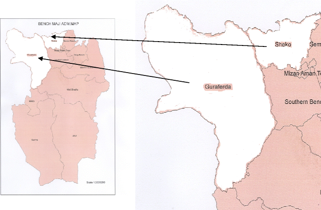 Bench Maji Zone Map Bovine Trypanosomosis And Its Vectors In Two Districts Of Bench Maji Zone,  South Western Ethiopia | Springerlink
