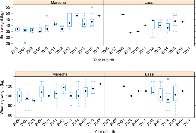 Analysis Of Variation In Growth And Spline Based Growth Models For Marecha And Lassi Dromedary Camels Springerlink