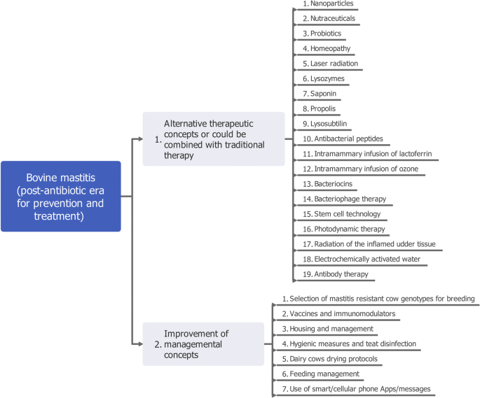Bovine Mastitis Prevention And Control In The Post Antibiotic Era Springerlink