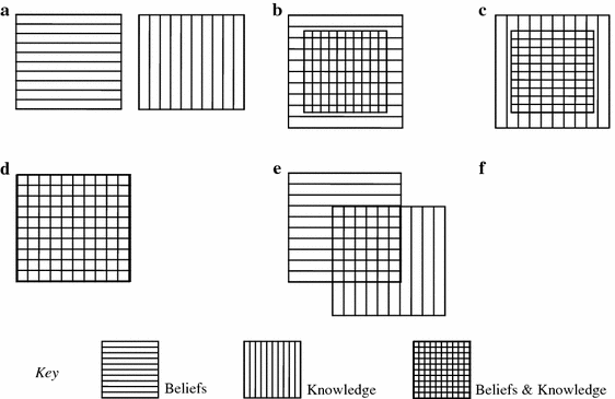Distinguishing Between Knowledge And Beliefs Students Epistemic Criteria For Differentiating Springerlink