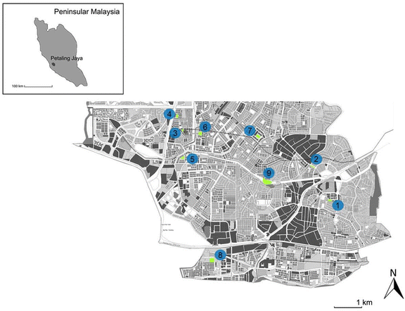 The Influence Of Small Urban Parks Characteristics On Bird Diversity A Case Study Of Petaling Jaya Malaysia Springerlink The Influence Of Small Urban Parks Characteristics On Bird Diversity A Case Study Of Petaling Jaya Malaysia Springerlink