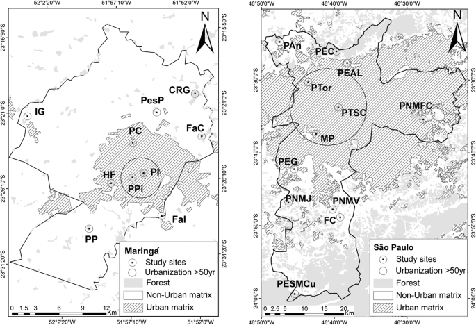 Nesting Patterns Among Neotropical Species Assemblages Can Reserves In Urban Areas Be Failing To Protect Anurans Springerlink