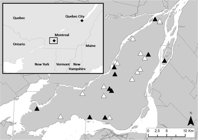 Response Of Wild Bee Communities To Beekeeping Urbanization And Flower Availability Springerlink
