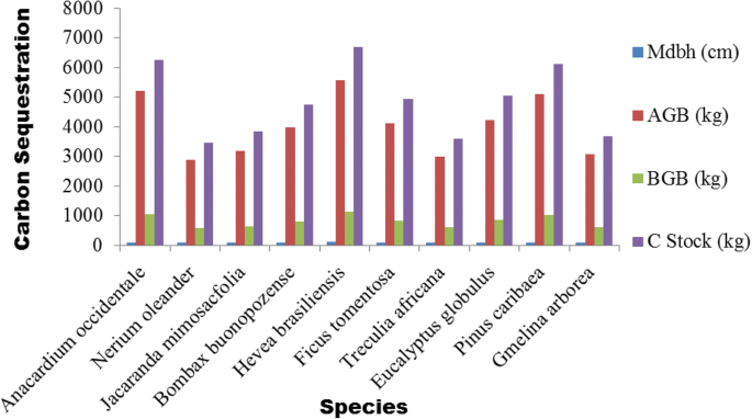Tree species diversity, volume yield, biomass and carbon sequestration in  urban forests in two Nigerian cities | SpringerLink