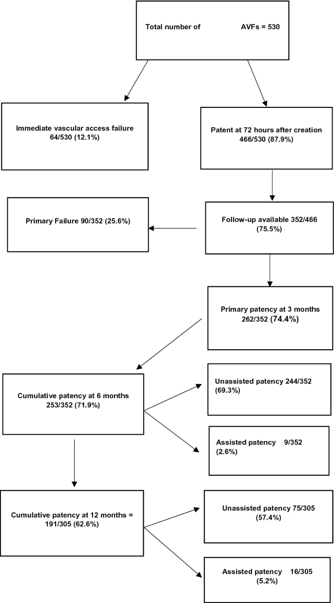 Outcomes And Predictors Of Failure Of Arteriovenous Fistulae For Hemodialysis Springerlink