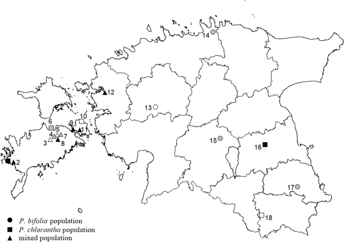 Эстония контурная карта