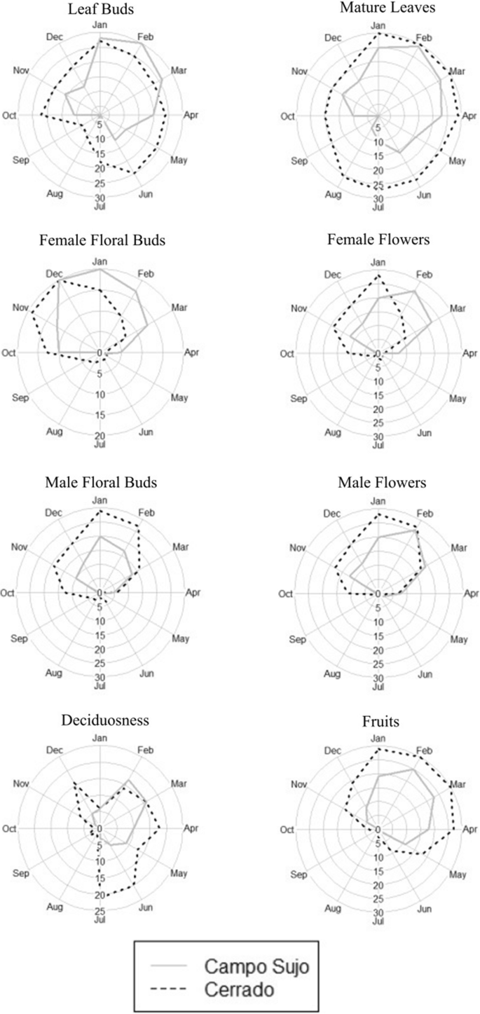 Ant pollination, phenology, and breeding system of Microstachys serrulata  (Mart. & Zucc.) Müll. Arg. (Euphorbiaceae) in the Brazilian savanna | Plant  Ecology | Springer Nature Link