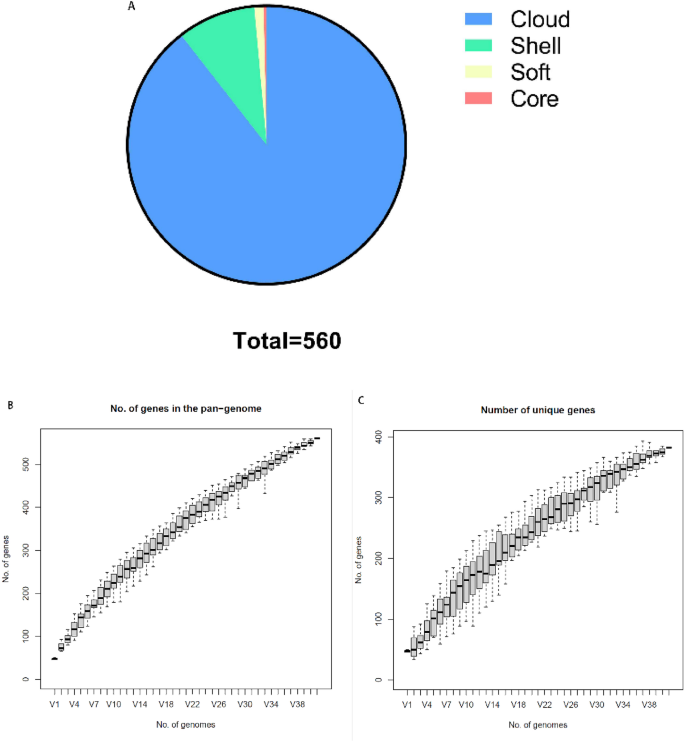 Duck Sewage Source Coliphage P762 Can Lyse Stec And Apec Springerlink