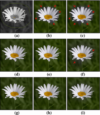 figure 20