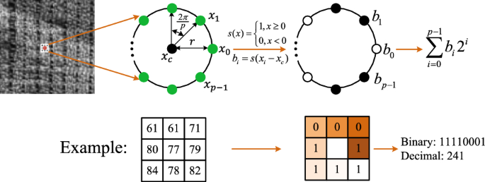 Fig. 12