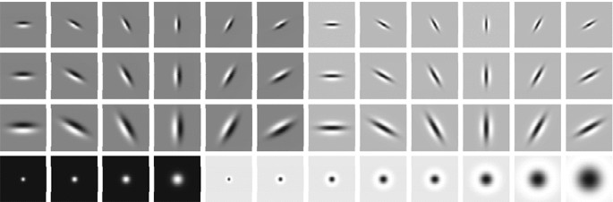 Fig. 7