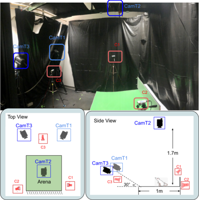 Google 3D animals: Here's how to video record the 3D animals