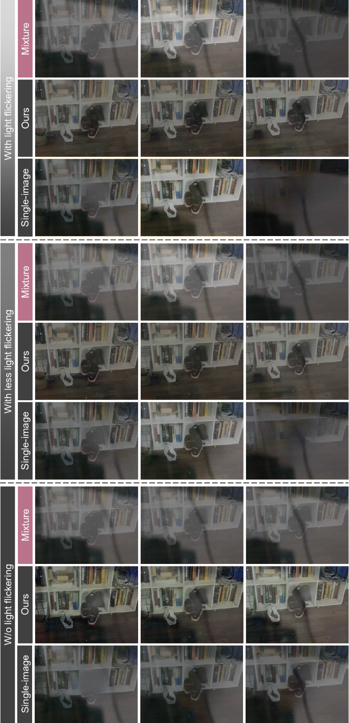 Light Flickering Guided Reflection Removal | International Journal of  Computer Vision