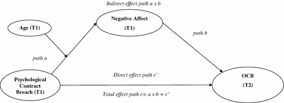 Breach Of Psychological Contract And Organizational Citizenship Behaviors In Volunteerism The Mediator Role Of Affect And The Moderation Of Volunteers Age Springerlink