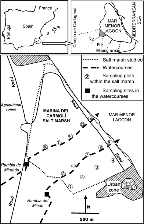 graphic_overview