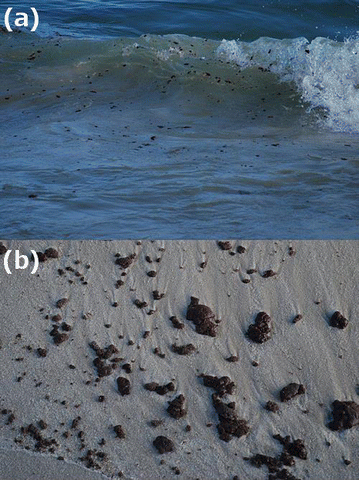 Sticky Black Gobs on the Beach: The Science of Tarballs